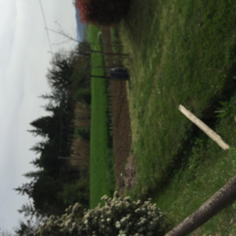 Azienda Agrituristica I Tre Casali Magione Exterior photo