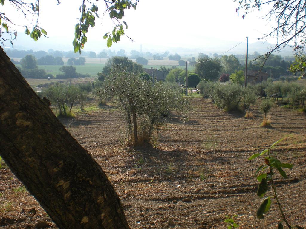 Azienda Agrituristica I Tre Casali Magione Exterior photo